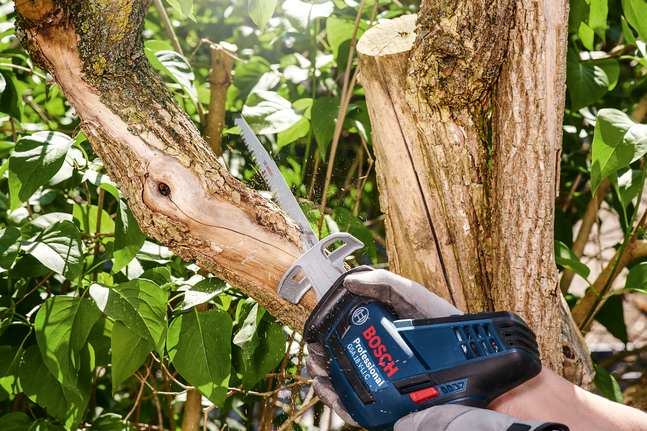 Person wearing safety equipment cuts a tree branch with a reciprocating saw.