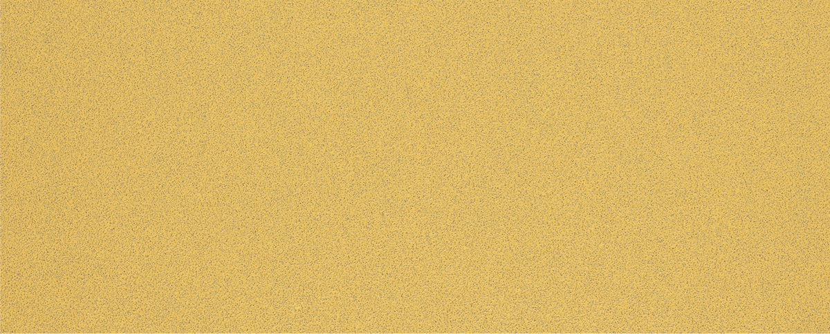 Bosch EXPERT C470 Sandpaper G80 no holes for orbital sanders.