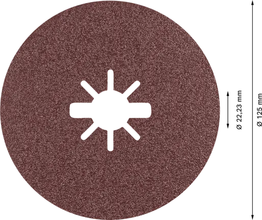 Bosch EXPERT R781 X-LOCK fibre disc 125mm grit 80.