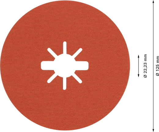 Bosch EXPERT R782 X-LOCK fibre disc 125mm grit 80.