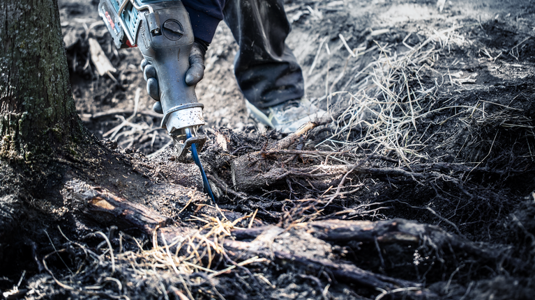 EXPERT ‘Tough Wood’ S 1142 KHM Reciprocating Saw Blade 1-pc A worker wearing safety equipment uses a reciprocating saw to cut through tree roots.