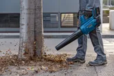 A person wearing safety equipment uses a cordless leaf blower to clear leaves near a tree.