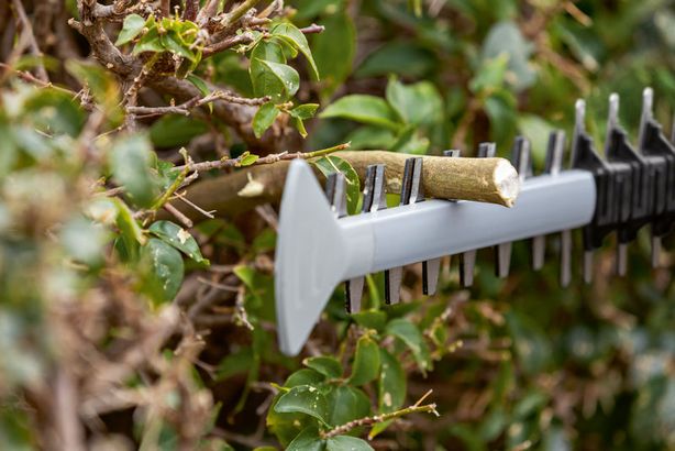 Bosch professional cordless hedge trimmer discount
