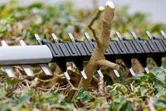 Hedge trimmer blade cutting through a thick branch among green leaves.