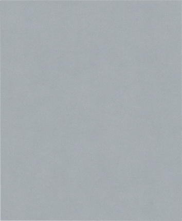 Bosch PRO C355 Sanding Roll G320, no perforation.