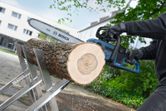 A person wearing safety equipment uses a cordless chainsaw to cut a large log outdoors.