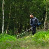 A person wearing safety equipment trims grass with a cordless grass trimmer in a forest.