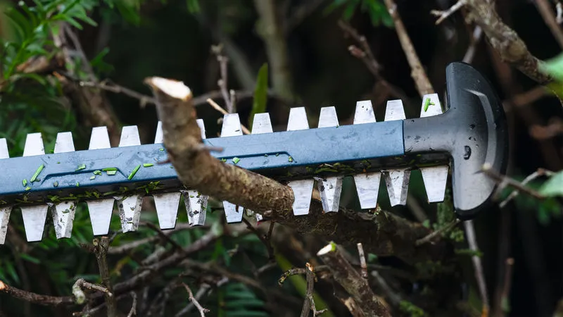 Hedge trimmer blade cutting through a tree branch in dense foliage.