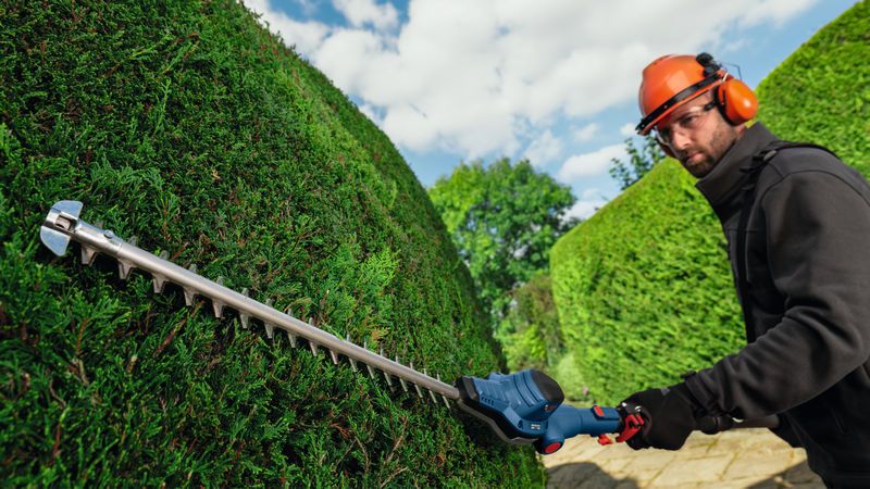 A person wearing safety equipment trims hedges with a cordless telescopic hedgecutter.