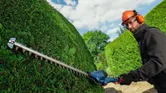 A person wearing safety equipment trims hedges with a cordless telescopic hedgecutter.