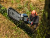 A person wearing safety equipment trims a tree branch using a cordless chainsaw.