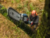 A person wearing safety equipment trims a tree branch using a cordless chainsaw.