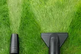 Leaf blower and lawn vacuum creating clear paths through green grass.