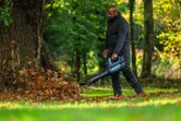 Person wearing safety equipment uses a leaf blower to clear fallen leaves near a tree.