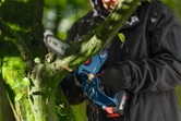 A person wearing safety equipment trims a tree branch with a cordless pruner saw.
