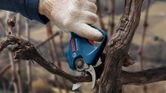 A person wearing safety equipment uses a cordless pruner to trim a vine branch.