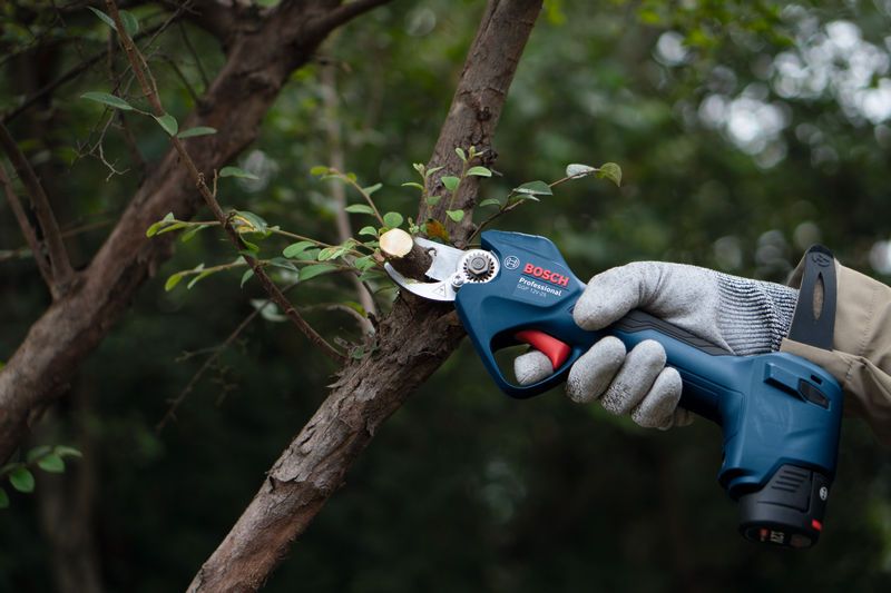 A person wearing safety equipment trims a tree branch with a cordless pruner.