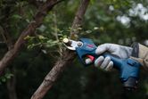 A person wearing safety equipment trims a tree branch with a cordless pruner.