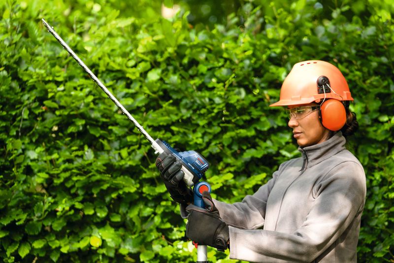 A person wearing safety equipment trims a hedge with a cordless hedgecutter.