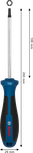 Bosch screwdriver TX20 x 100 mm with ergonomic handle.