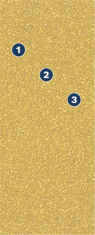 Bosch sanding sheet with numbered grit guide.